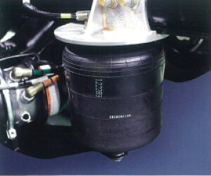 �����U(ISUZU) �G�A�X�v�����O 1-52110223 CYL/EXD 3�������� ���� �G�A�T�X �C�X�Y (152110223)