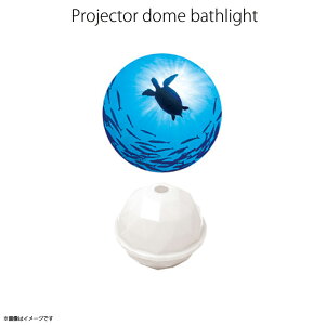 oXObY vWFN^[ ƒp oXCg E~K y5459zPROJECTOR DOME bNXObY Cg C SEA TURTLE zCg