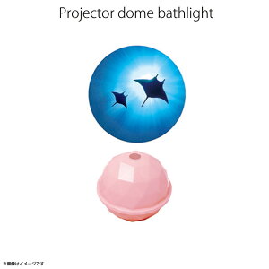 oXObY vWFN^[ ƒp oXCg }^ y5466zPROJECTOR DOME bNXObY Cg C MANTA RAY CgsN