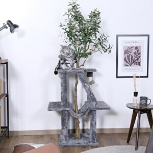 yzy[J[z˂̋x } Lbg^[ L lRyszsf