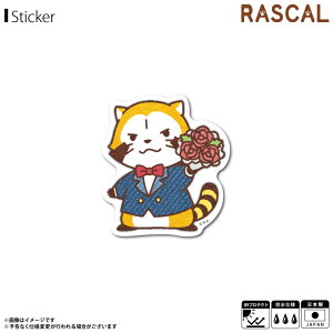 y[zy݌ɂz XJ 炢܃XJ XebJ[ V[ ԑ RAS-003y6253z~jXebJ[ _CJbg AjLN^[ ObY ϐ ό[lXebJ[ y݌