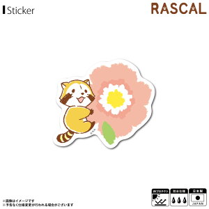 y[zy݌ɂz XJ 炢܃XJ XebJ[ V[   RAS-007y6291z~jXebJ[ _CJbg AjLN^[ ObY ϐ ό[lXebJ[ 