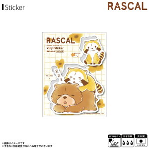 y[zy݌ɂz XJ 炢܃XJ XebJ[ V[ Q ^K RAS-014y6369zV[g^CvXebJ[ AjLN^[ ObY ϐ ό[lXebJ[ 