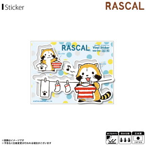 y[zy݌ɂz XJ 炢܃XJ XebJ[ V[  h[V[Y RAS-015y6376zV[g^CvXebJ[ AjLN^[ ObY ϐ ό[lX