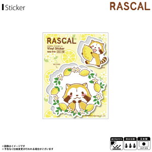 y[zy݌ɂz XJ 炢܃XJ XebJ[ V[ [X RAS-018y6406zV[g^CvXebJ[ AjLN^[ ObY ϐ ό[lXebJ[ y