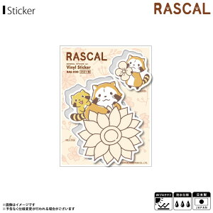 y[zy݌ɂz XJ 炢܃XJ XebJ[ V[ XJ&Cv RAS-020y6420zV[g^CvXebJ[ AjLN^[ ObY ϐ ό[lXebJ