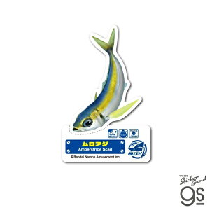 TSP-002 ނXsbc _CJbgXebJ[ AWy5107z[lXebJ[