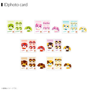 y\̔zy11{`12{z[JbgXebJ[IDphoto 1pbN3  uChdlyS7zy1pbN/7pbNBOXzؖʐ^ RNVnZv