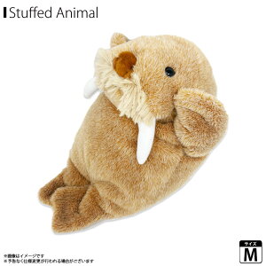 ʂ ZCE` C̐ ZCE`̈ 20cm y8905zCU ZCE`ƃAUV̂ɂV[Y ӂӂ_炩  MTCYfUC