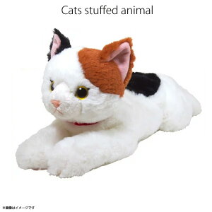 yz ʂ Ђ˂ L ~PyP-2122zMTCY _炩ȑf G蔲QTyKiz