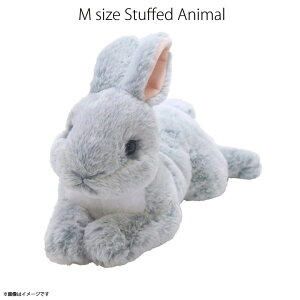 yzʂ Ђ ETM O[ yP-3772zrbg _炩ȑf G蔲QTyKiz