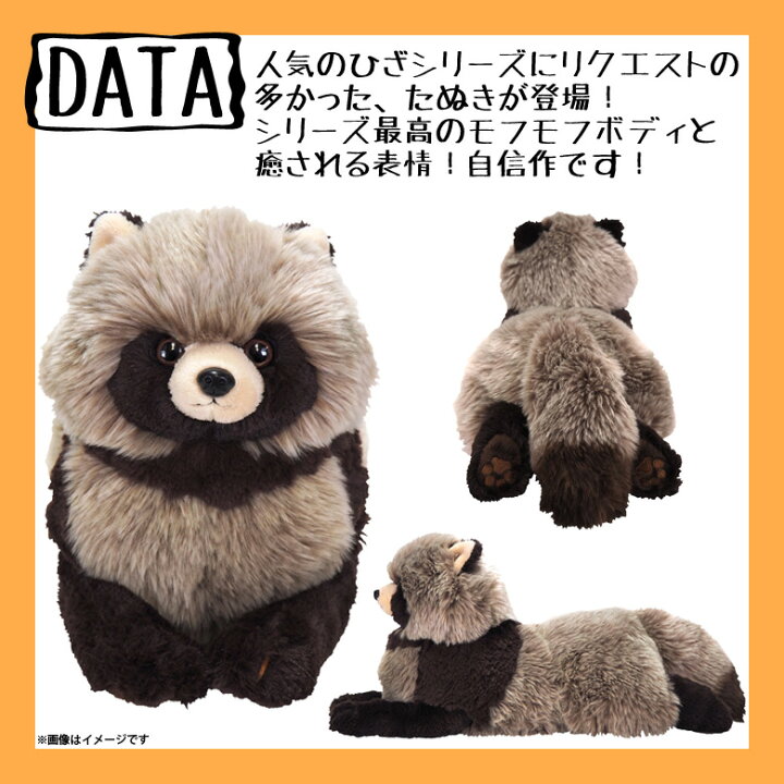 楽天市場 送料無料 ぬいぐるみ ひざたぬき タヌキ 狸 P 62 Mサイズ 柔らかな素材 手触り抜群 もふもふ ボディサンレモン 正規品 モバイルランド