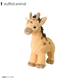 ʂ L PK STCY yP-8992zfluffies tbtB[Y 킢 ӂ ̂ЂTCY Aj}TyKiz