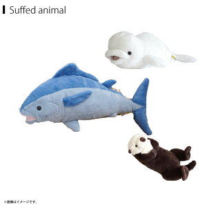 yz ʂ C ЂV[YyS3z _炩ȑf G蔲Q  킢 }O VCJ bRTyKiz