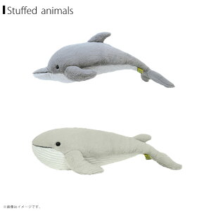 yz ʂ Ђ Ђ邩 ЂV[Y _炩ȑf G蔲Q  킢TyKiz