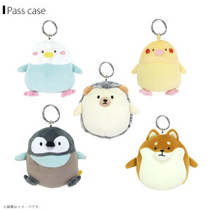 nOnO pXP[X  Aj} ICJ[hP[XyS5znlY~ IJCR CRBL Č yMqiTyKiz