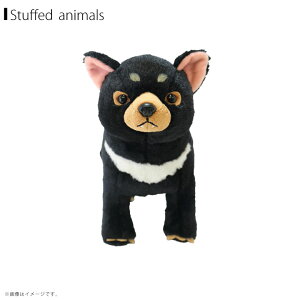 tbtB[Y ʂ MTCY ^X}jAfryP-1063zfluffiesTyKiz