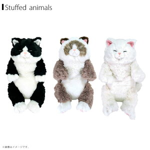 yzʂ Ђ˂ ₷yS3z Oh[ GYBR yV WH n` ЂV[Y L lR _炩ȑf G蔲Q  킢TyKiz