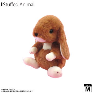 y[zyz ʂ ETM  bvC[ MTCY uEy1026zLOP EAR Collection Aj}  20cm tt 炩GX^[`Ch y݌Ɍz