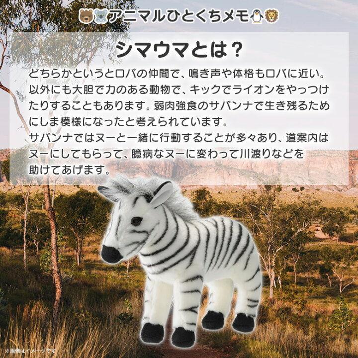 一部予約 しまうまのぬいぐるみ Lacistitis Es 一部予約 しまうまのぬいぐるみ Lacistitis Es