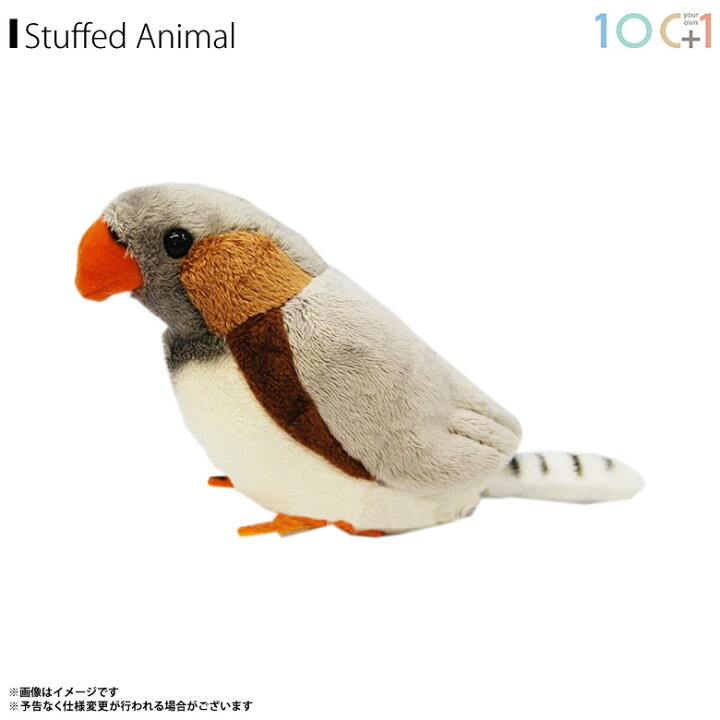 楽天市場 ぬいぐるみ 鳥 キンカチョウ Sm142 1117 100 1 Sky アニマル 動物 リアル太洋産業貿易 モバイルランド