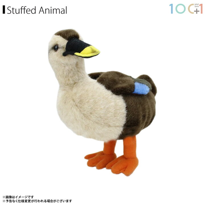 楽天市場 ぬいぐるみ 鳥 カルガモ かるがも Sm246 46 100 1 Sky アニマル 動物 リアル太洋産業貿易 モバイルランド