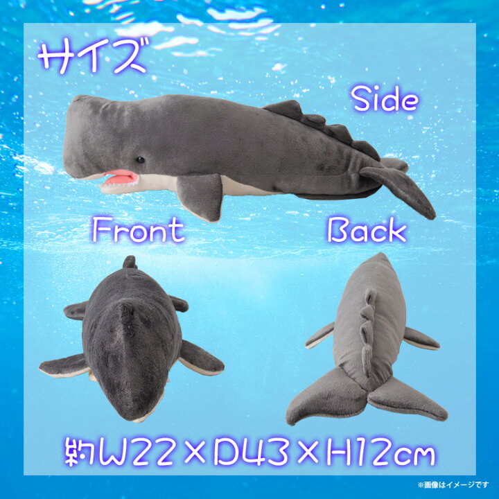 楽天市場 ぬいぐるみ マッコウクジラ くじら ホエール Sm2 2473 100 1 Sea 海に暮らす生き物たち 哺乳類 魚 Sサイズ太洋産業貿易 宅配便配送 モバイルランド
