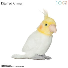 楽天市場 オカメインコ リアルの通販