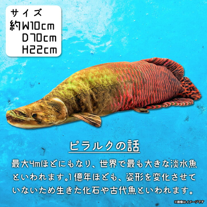楽天市場 送料無料 ぬいぐるみ 魚 ピラルク 淡水魚 さかなくんプロデュース Sk011 1703 おさかなぬいぐるみ 海の生き物 リアル太洋産業貿易 モバイルランド