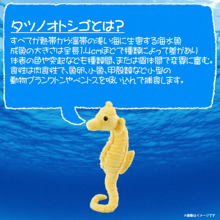 楽天市場 ぬいぐるみ 魚 タツノオトシゴ イエロー Dh004 0174 100 1 Sea 海に暮らす生き物たち シーホース Sサイズ太洋産業貿易 宅配便配送 モバイルランド 楽天市場 ぬいぐるみ 魚 タツノオトシゴ イエロー Dh004 0174 100 1 Sea 海に暮らす生き物たち シーホース Sサイズ太洋産業貿易 宅配便配送 モバイルランド
