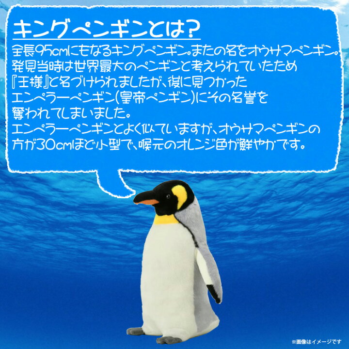 楽天市場 ぬいぐるみ ペンギン キングペンギン オウサマペンギン Ha006 0259 100 1 Sea 海に暮らす生き物たち 魚 Sサイズ太洋産業貿易 宅配便配送 モバイルランド