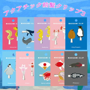 ONbv ANA`bN 킢  C  G lC v[g Mtg 2024NV Ec{ NW ^cmIgVS E[p[[p[ LOyM Gy[yM NIl 