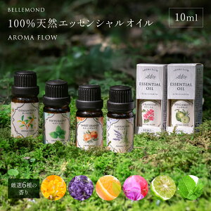 GbZVIC  10ml VR 100 6 A}IC ؍ x_[ [jE IW xKbg ~g y AROMA FLOW - A} t[ -z