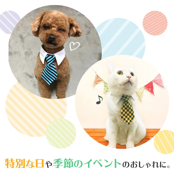 業界No.1 HMHiWYY 蝶ネクタイ付き猫首輪 4つの色を調節でき 子猫 子犬に適しています 木綿の材質には安全ボタンがついています