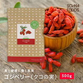 ゴジベリー 500g クコの実 無添加 無着色 スーパーフード 美容 栄養 サプリ 肌荒れ goji berry ドライフルーツ 枸杞の実 大容量【メール便送料無料】