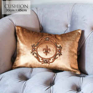 X[p[Z[ |Cg10{ La deco EfR r[Y hJfUCNbVJo[ S[h[ 30cm×45cm t`G rOG