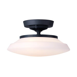 Graph LED-remote ceiling light Ot LED [gV[OCg ubNyLEDzy֑On-OSz