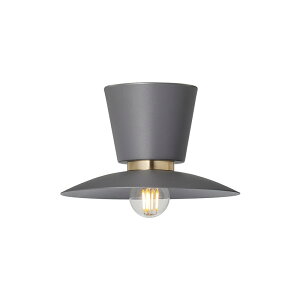 Probe-ceiling light S v[uV[OCg S ydʔzyLEDΉzy֑On-OSz