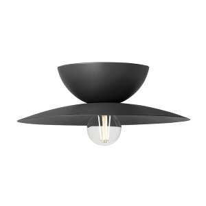 Probe-ceiling light L v[uV[OCgL ubNydʔzyLEDΉzy֑On-OSz
