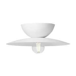 Probe-ceiling light L v[uV[OCg L zCgydʔzyLEDΉzy֑On-OSz