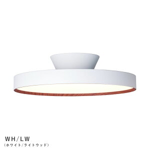 Glow 6000 LED ceiling light O[6000LEDV[OCg LEDy֑On-OSz