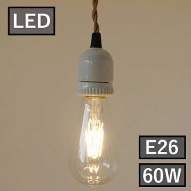 AXCIS アクシス エジソン型LED電球E26 052l-hs3081