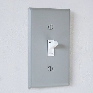 AXCIS ANVX X`[1XCb`v[g O[ mx[V z[ {HytdCHK{z