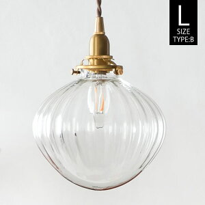 AXCIS ANVX yVF[hṔz KXVF[h tNg L NA yFB^Cvz