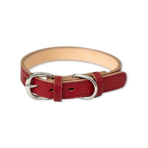 yS̓{z {v l[^Ot p  킢 I[_[Ch    ̎   ^ ^ v v  U[  킢 ybgpi 