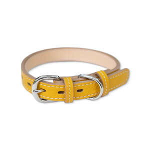 yS̓{z {v l[^Ot p  킢 I[_[Ch    ̎   ^ ^ v v  U[  킢 ybgpi 