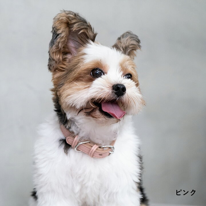 楽天市場 犬 首輪 おしゃれ 犬 首輪 革 日本製 犬 首輪 かわいい 犬 首輪 かっこいい 犬の首輪 犬 首輪 小型犬 超小型犬 革 日本製 革製 皮 本革 レザー おしゃれ かわいい ペット用品 犬用品 カラー シンプル 10mm 15mm