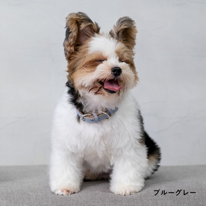 楽天市場 犬 首輪 おしゃれ 犬 首輪 革 日本製 犬 首輪 かわいい 犬 首輪 かっこいい 犬の首輪 犬 首輪 小型犬 超小型犬 革 日本製 革製 皮 本革 レザー おしゃれ かわいい ペット用品 犬用品 カラー シンプル 10mm 15mm