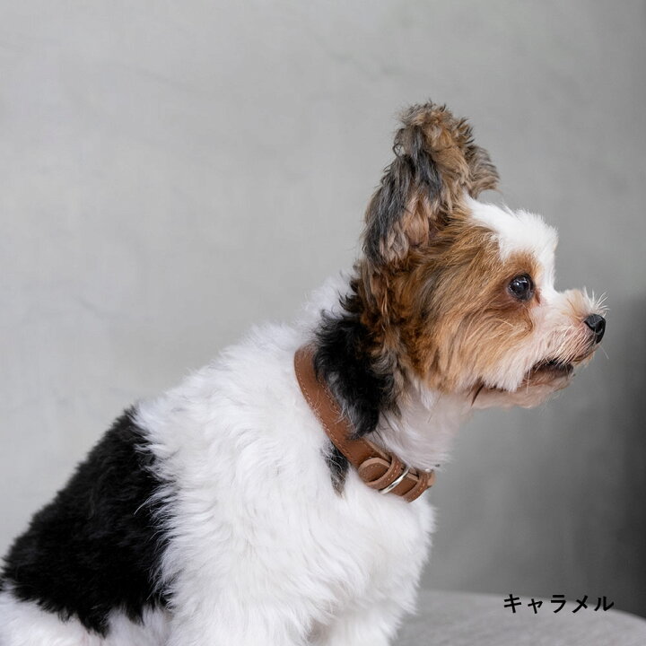 楽天市場 犬 首輪 おしゃれ 犬 首輪 革 日本製 犬 首輪 かわいい 犬 首輪 かっこいい 犬の首輪 犬 首輪 小型犬 超小型犬 革 日本製 革製 皮 本革 レザー おしゃれ かわいい ペット用品 犬用品 カラー シンプル 10mm 15mm