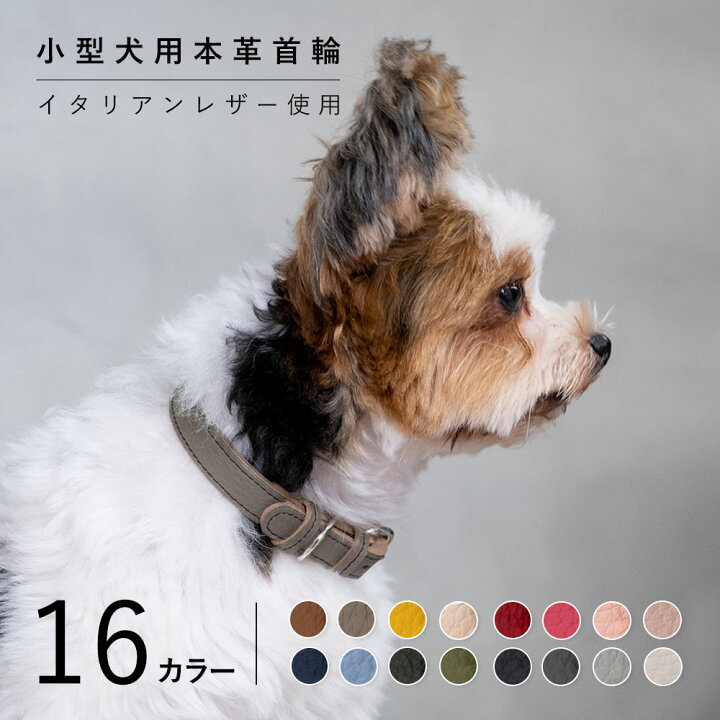 楽天市場 犬 首輪 おしゃれ 犬 首輪 革 日本製 犬 首輪 かわいい 犬 首輪 かっこいい 犬の首輪 犬 首輪 小型犬 超小型犬 革 日本製 革製 皮 本革 レザー おしゃれ かわいい ペット用品 犬用品 カラー シンプル 10mm 15mm
